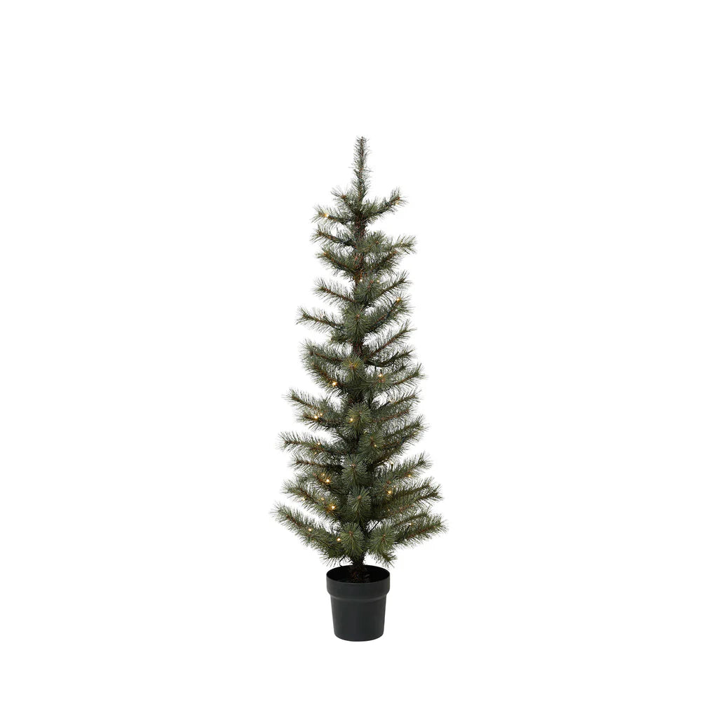 Merry Tannenbaum mit LED-Licht